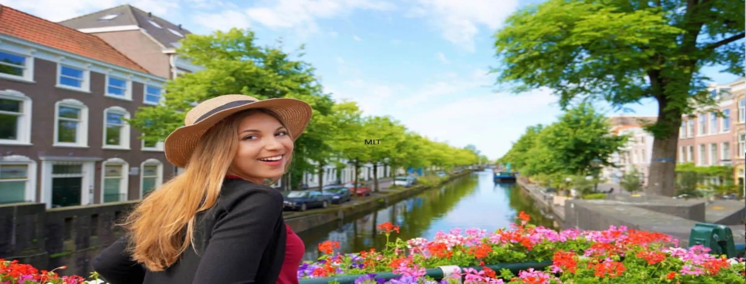 Image for Diverse Neighborhoods